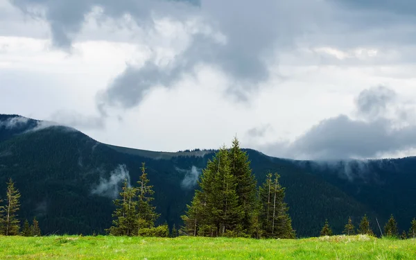 Ukrainska Karpaterna, tidigt på morgonen — Stockfoto