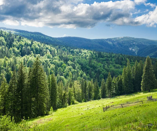 Ukraynalı Karpatlar vadide — Stok fotoğraf