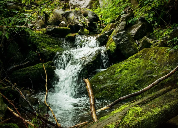 Floresta Cachoeira — Fotografia de Stock