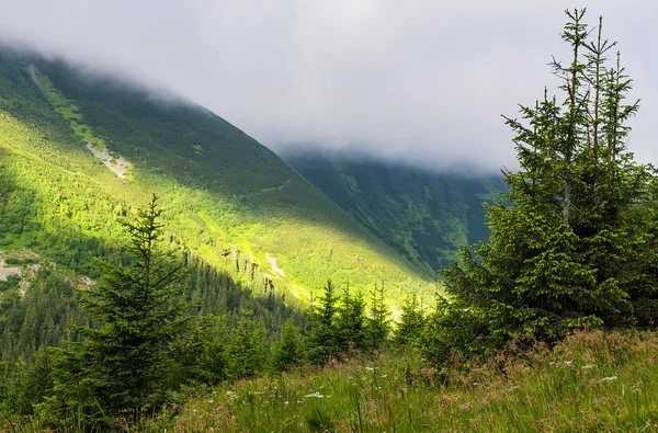 Morning in the mountains — Stock Photo, Image