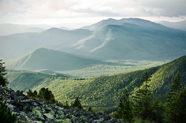 Лето в Украинских Карпатах Стоковое Фото