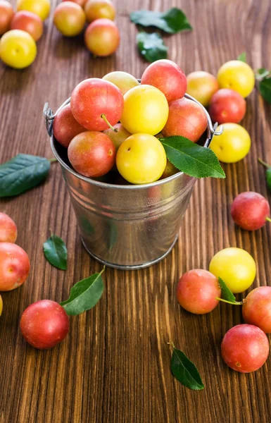 Plums in a small bucket — Stock Photo, Image
