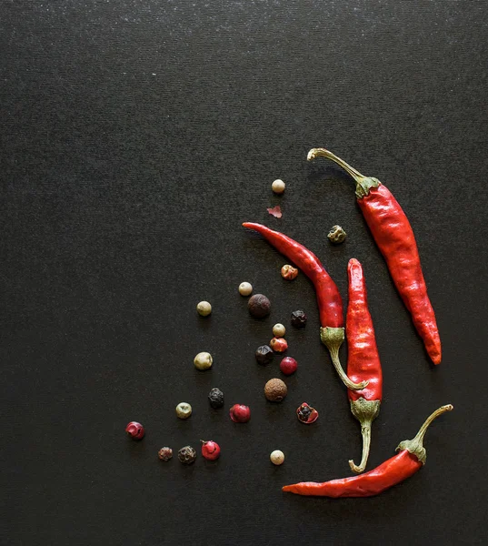 Spices on a blackboard — Stock Photo, Image