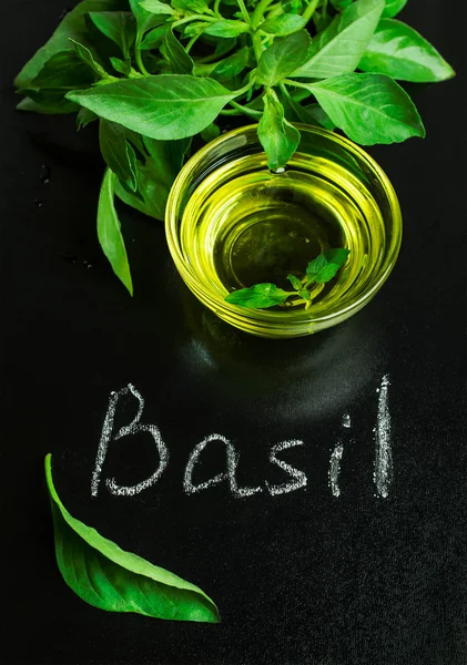 Basilico con olio d'oliva su lavagna — Foto Stock