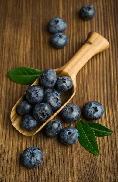 Bleuets frais dans une cuillère en bois — Photo