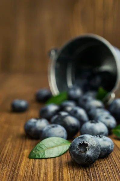 Blaubeeren im kleinen Eimer — Stockfoto