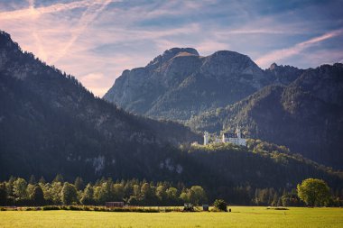Güzel Alp Dağları arka planında Neuschwanstein Kalesi 'nin olduğu resim gibi bir manzara.