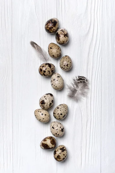 Bovenaanzicht Van Kleine Kwarteleitjes Vogelveren Witte Houten Ondergrond — Stockfoto