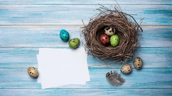 鳥の巣のイースターの日のシンボルとして 伝統的な装飾や青い木製の背景にカードのモックアップとして小さなカラフルな塗装ウズラの卵 — ストック写真
