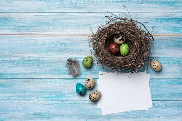 Küçük Renkli Bıldırcın Yumurtaları Kuş Yuvasında Paskalya Gününün Sembolü Olarak — Stok fotoğraf