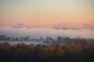 Güzel kış ya da sonbahar manzarası Ağaçlar ve fabrikalar ya da sisli gündoğumu gökyüzü arka planında bitkiler