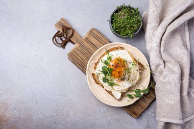 Yağda yumurta, tost, yonca ve yeşil bezelye filizli sandviçin üst görüntüsü gri beton arka planda kahvaltı için mikroyeşil.