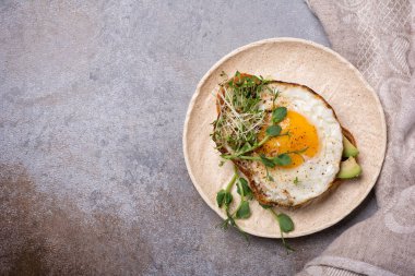 Yağda yumurta, tost, avokado, yonca ve yeşil bezelye filizli sandviçin en üst görüntüsü. Kahvaltı için gri beton arka planda fotokopi alanı ile birlikte.