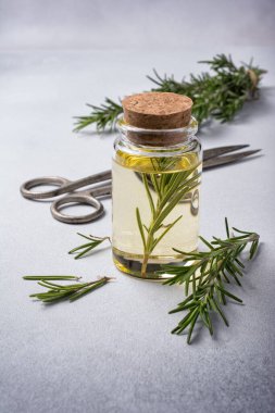 Mutfak bitkileriyle dolu cam kavanoz zeytinyağı. Sağlıklı yemek için yeşil kekik. Gri beton arka planda.