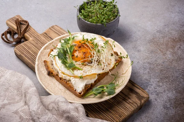 Sandwich Fried Egg Toast Alfalfa Green Pea Sprouts Microgreen Breakfast — Stock Photo, Image