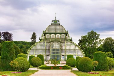 Palmiye Evi adında şaşırtıcı bir sera Schonbrunn Sarayı bahçelerinin bir parçasıdır, Viyana, Avusturya