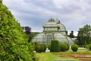 Palmiye Evi adında şaşırtıcı bir sera Schonbrunn Sarayı bahçelerinin bir parçasıdır, Viyana, Avusturya