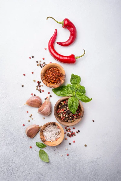 Top View Peppercorn Salt Garlic Basil Red Hot Chilli Pepper — Stock Photo, Image