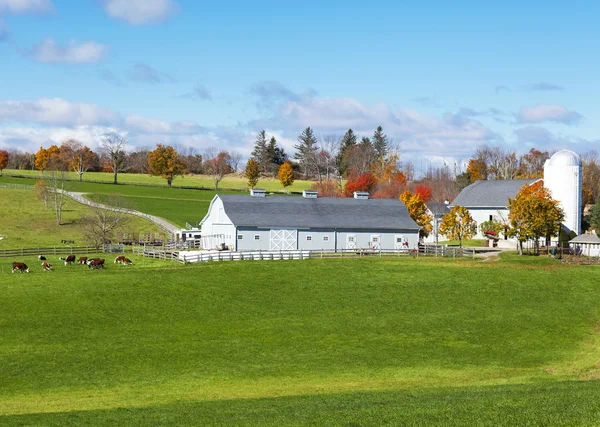 Traditional New England farm Stock Image