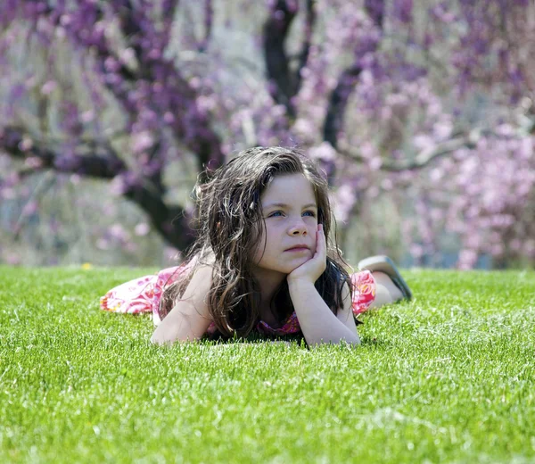 Malá holčička v trávě — Stock fotografie
