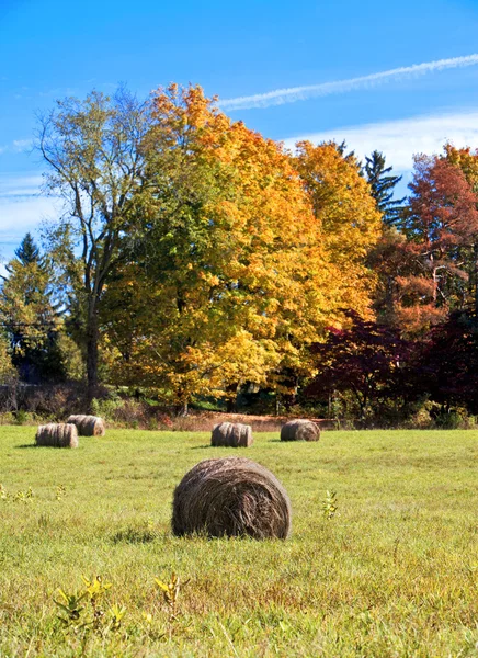 Hay balyaları — Stok fotoğraf