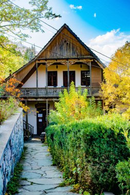 Ormanın derinliklerinde yalnız bir ev. Evleri ve ormanları olan sonbahar manzarası. Güzel kır evleri mimarisi. Güzel evler.