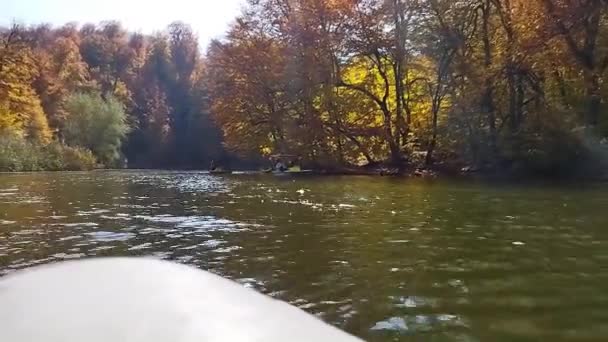Jesienny Las Jezioro Żeglowanie Jeziorze Jezioro Otoczone Jest Drzewami Głębokim — Wideo stockowe