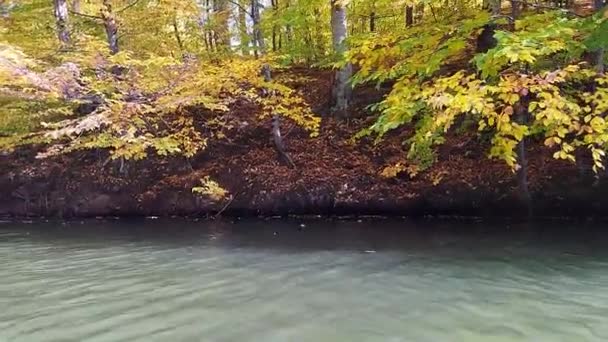 Hutan Musim Gugur Dan Danau Berperahu Danau Danau Ini Dikelilingi — Stok Video