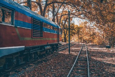 Sarı sonbahar ormanlarında demiryolu ve eğitim. Ormanda tren ve demiryolu taşımacılığı