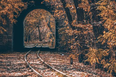 Terk edilmiş demiryolu ve ormanda bir tünel. Tüneli ve demiryolu olan güzel sonbahar manzarası