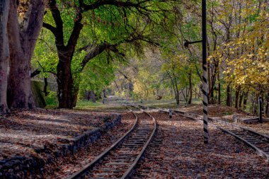 Demiryolu rayları bir orman bölgesinde kayboluyor. Ormana giden eski bir demiryolu..