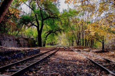 Demiryolu rayları bir orman bölgesinde kayboluyor. Ormana giden eski bir demiryolu..