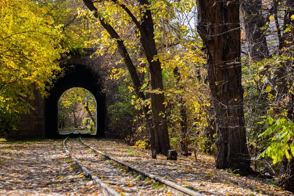 Outono Caminho Ferro Caminhos Ferro Passam Pelo Túnel Bela Paisagem — Fotografia de Stock