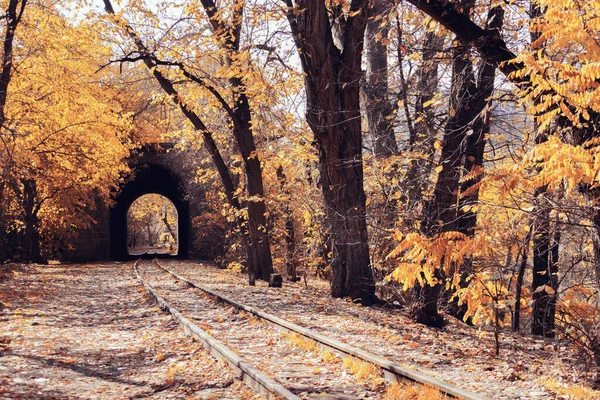 Hösten Och Järnvägen Järnvägen Passerar Genom Tunneln Vackert Höstlandskap Med — Stockfoto