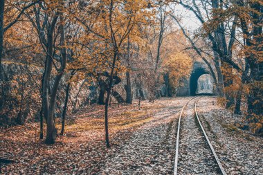 Tren trenleri ormandaki bir tünelden geçer. Ormanda demiryolları