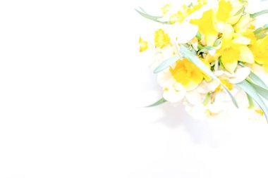 Beyaz arka planda çiçekler. Çiçekçiler ve tasarımcılar için pankart. Beyaz arka plan ve güzel bir buket çiçek.