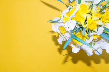 Sarı arka planda bir buket bahar çiçeği. Çiçekçiler ve tasarımcılar için pankart. Sarı arkaplan ve güzel çiçekler
