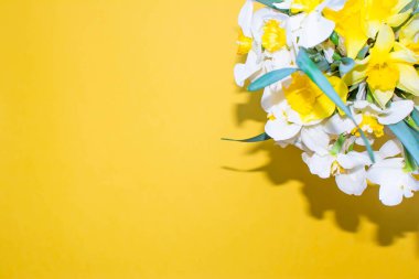 Sarı arka planda bir buket bahar çiçeği. Çiçekçiler ve tasarımcılar için pankart. Sarı arkaplan ve güzel çiçekler