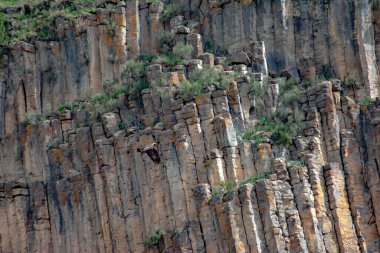 Büyük kayalar ve bir kartalın uçuşu - Aquila chrysaetos. Büyük kartal gökyüzünde uçar