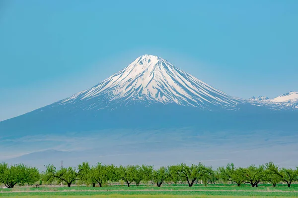 Hermosa Montaña Jardín Árboles Montaña Volcánica Campos Verdes —  Fotos de Stock