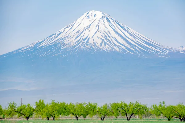 Όμορφο Βουνό Και Κήπος Των Δέντρων Ηφαίστειο Και Πράσινα Λιβάδια — Φωτογραφία Αρχείου