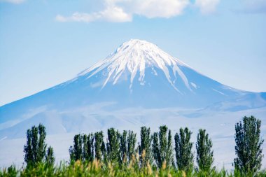 Beyaz tepeli güzel bir dağ. Ararat Dağı 'nın arka planında yeşil çimenler ve ağaçlar