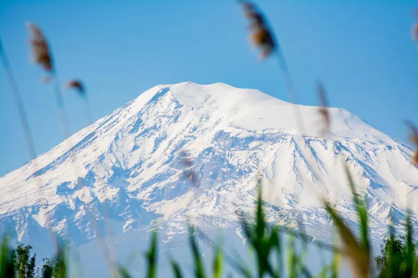 Ένα Όμορφο Βουνό Λευκή Κορυφή Πράσινο Γρασίδι Και Δέντρα Στο — Φωτογραφία Αρχείου