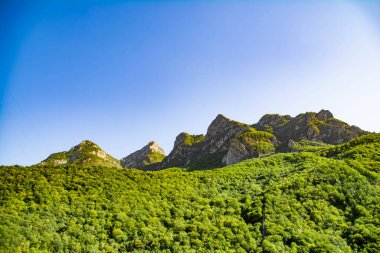 Ormanlar ve sıradağlar. Yeşil ormanlar ve tarlalar. Dağların tepeleri bulutlarla kaplı.