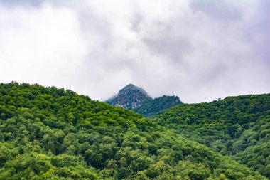 Ormanlar ve sıradağlar. Yeşil ormanlar ve tarlalar. Dağların tepeleri bulutlarla kaplı.