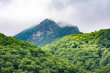 Forests and mountain ranges. Green forests and fields. The tops of the mountains are covered with clouds