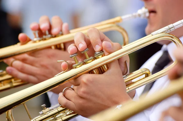 Tema de trompete — Fotografia de Stock