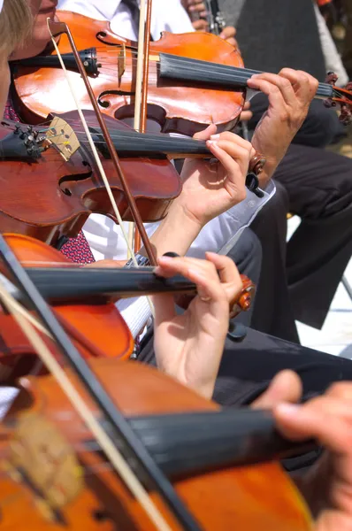 Violin background — Stock Photo, Image