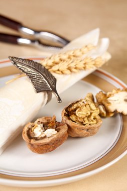 Fındıkkıran ve ceviz