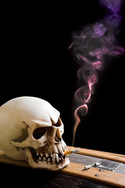 Skull on coffin — Stock Photo, Image